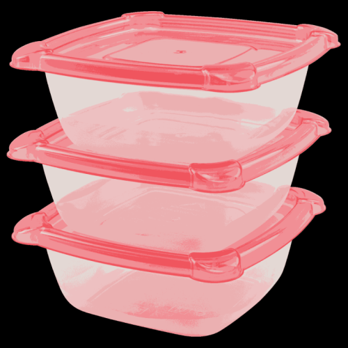 Freshia Container-Foodfull-4 Pcs Set- .5L, 1L, 1.5L, 2L-5413